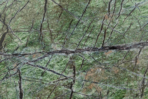 green-forest-remasterBB90B95B-951B-192F-D635-B736376C3716.jpg